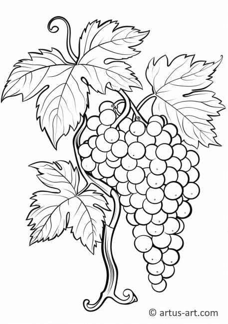 Page de coloriage de raisins et de feuilles